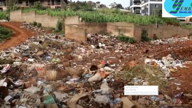 Capture journal du 04 juin 2022