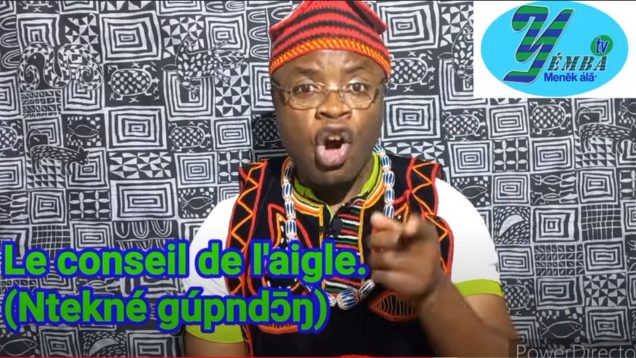 Capture-Conseils de laigle