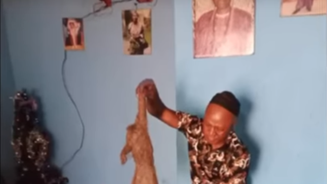 Capture-faux-feticheur