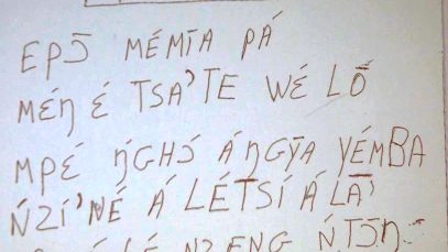 Capture-cours AG -cours Yemba